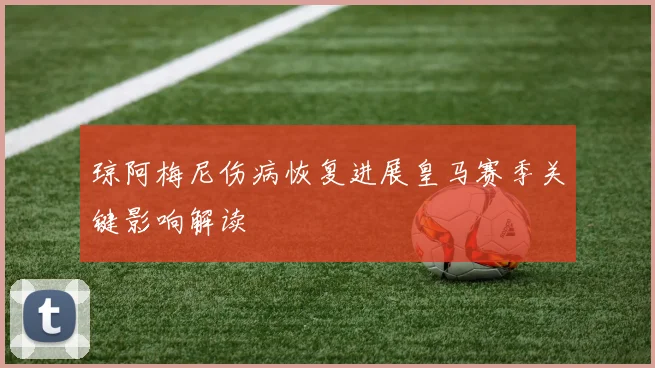 琼阿梅尼伤病恢复进展皇马赛季关键影响解读